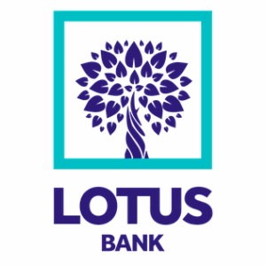 Why Is My Lotus Bank App Not Working Opening